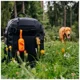 Dispenser pentru saci igienici pentru caini Explorer Dog foto