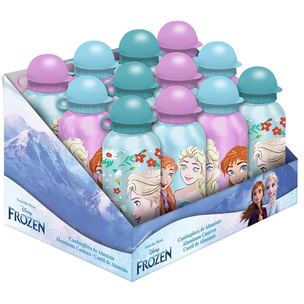 Sticla pentru apa din aluminiu KiDS Frozen, 500 ml foto