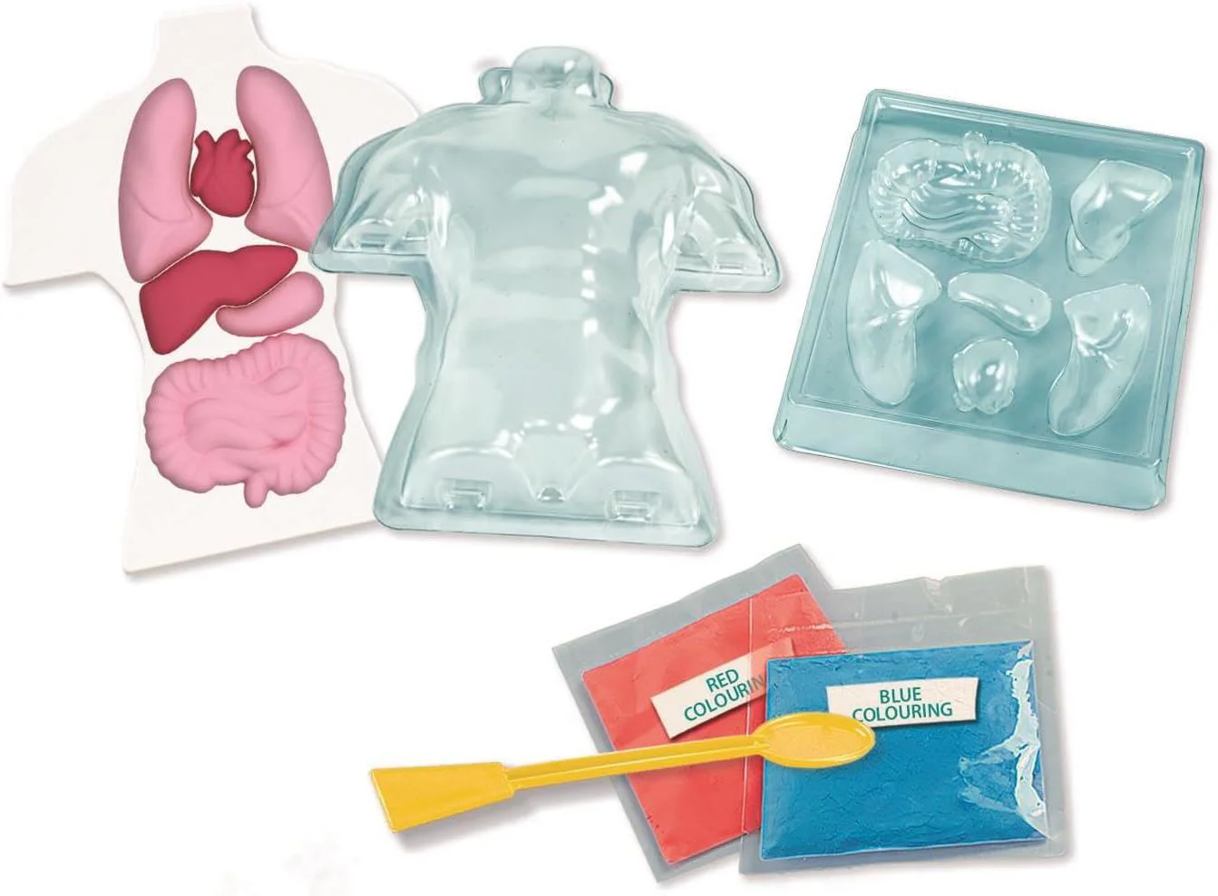 Set de joaca educativ Science&Play Anatomia Omului foto