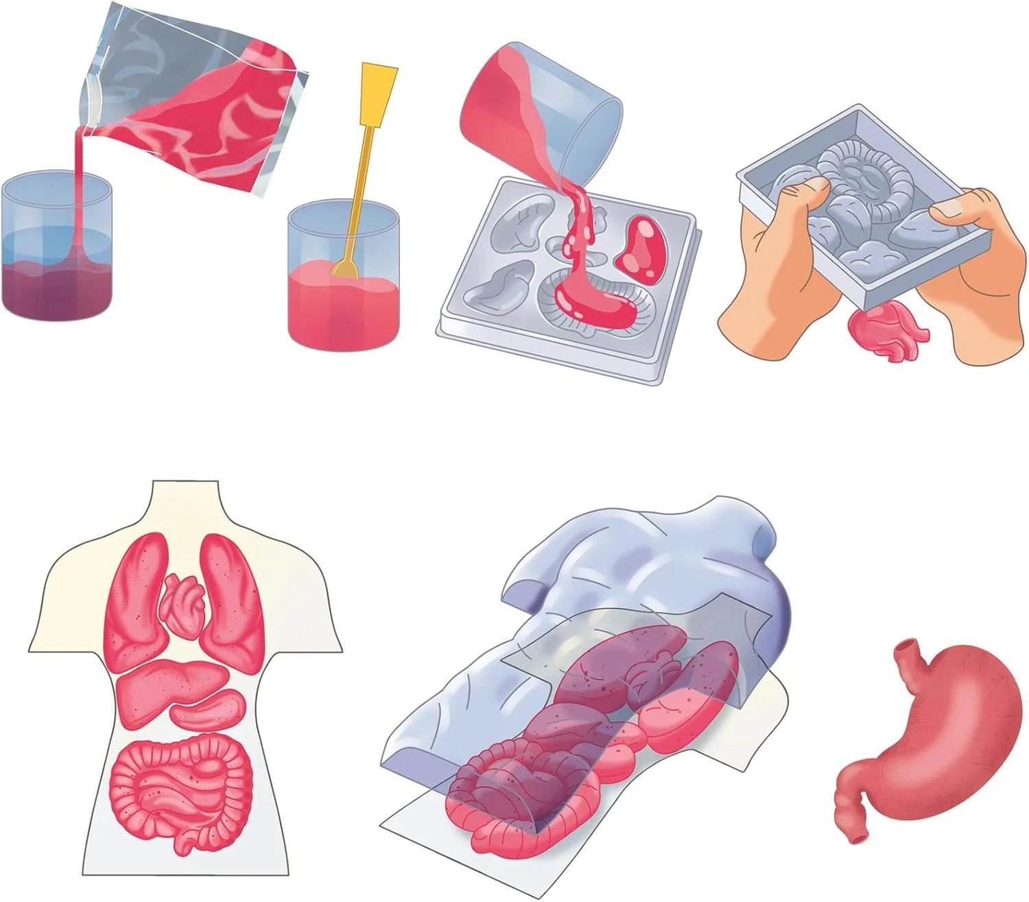 Set de joaca educativ Science&Play Anatomia Omului foto