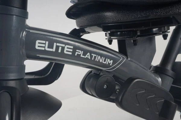 Трёхколёсный велосипед Qplay Elite Platinum Grey foto