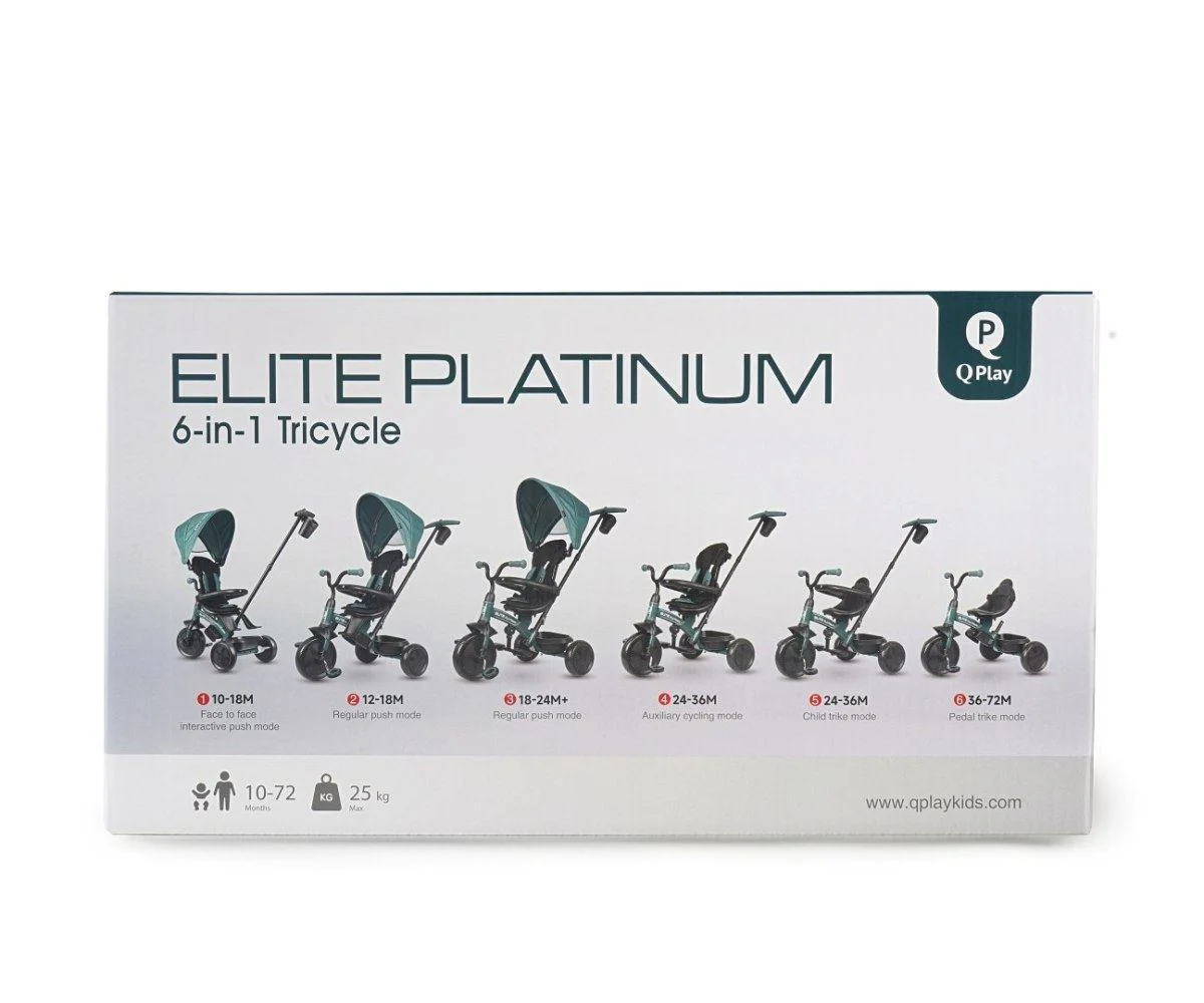 Трёхколёсный велосипед Qplay Elite Platinum Pink foto