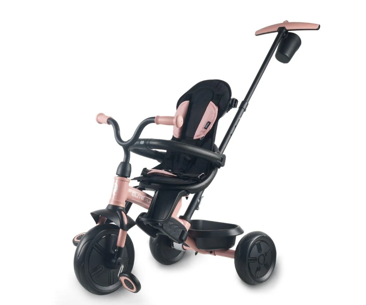 Трёхколёсный велосипед Qplay Elite Platinum Pink foto