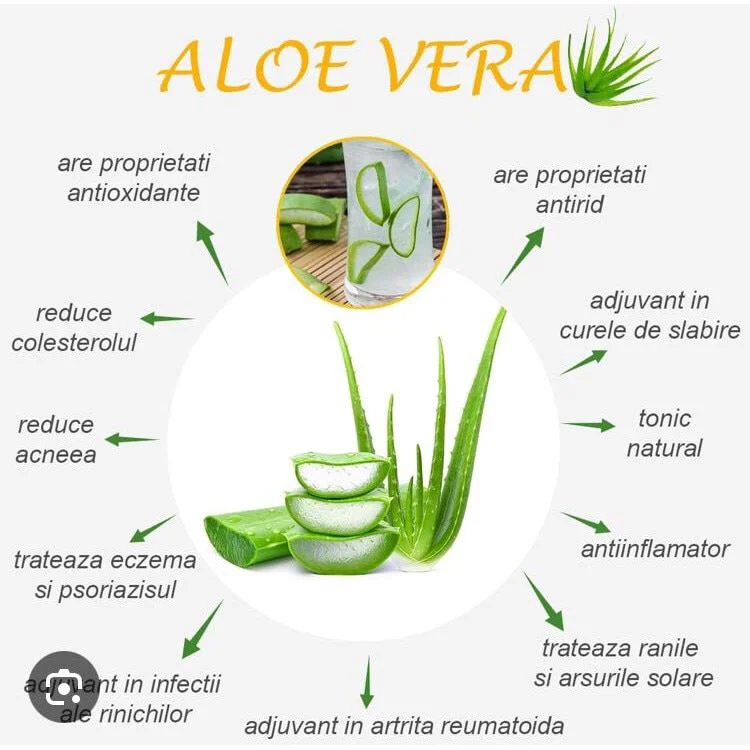 was ist besser hyaluron oder aloe vera Santaverde hyaluron+serum – Intensive Feuchtigkeit & Anti-Aging main image 1