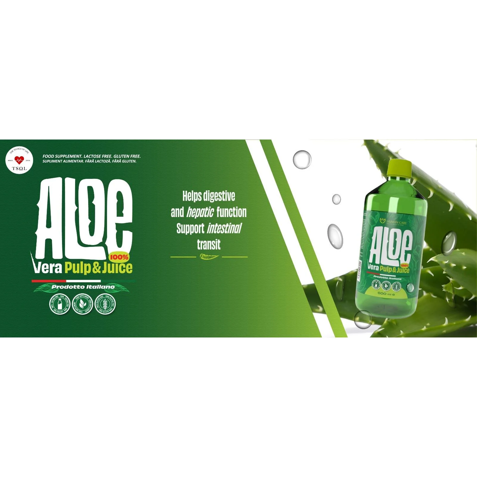 braucht aloe vera licht Tipps zur Pflege deiner Pflanze : Aloe Vera – PflanzenFuerAlle main image 0