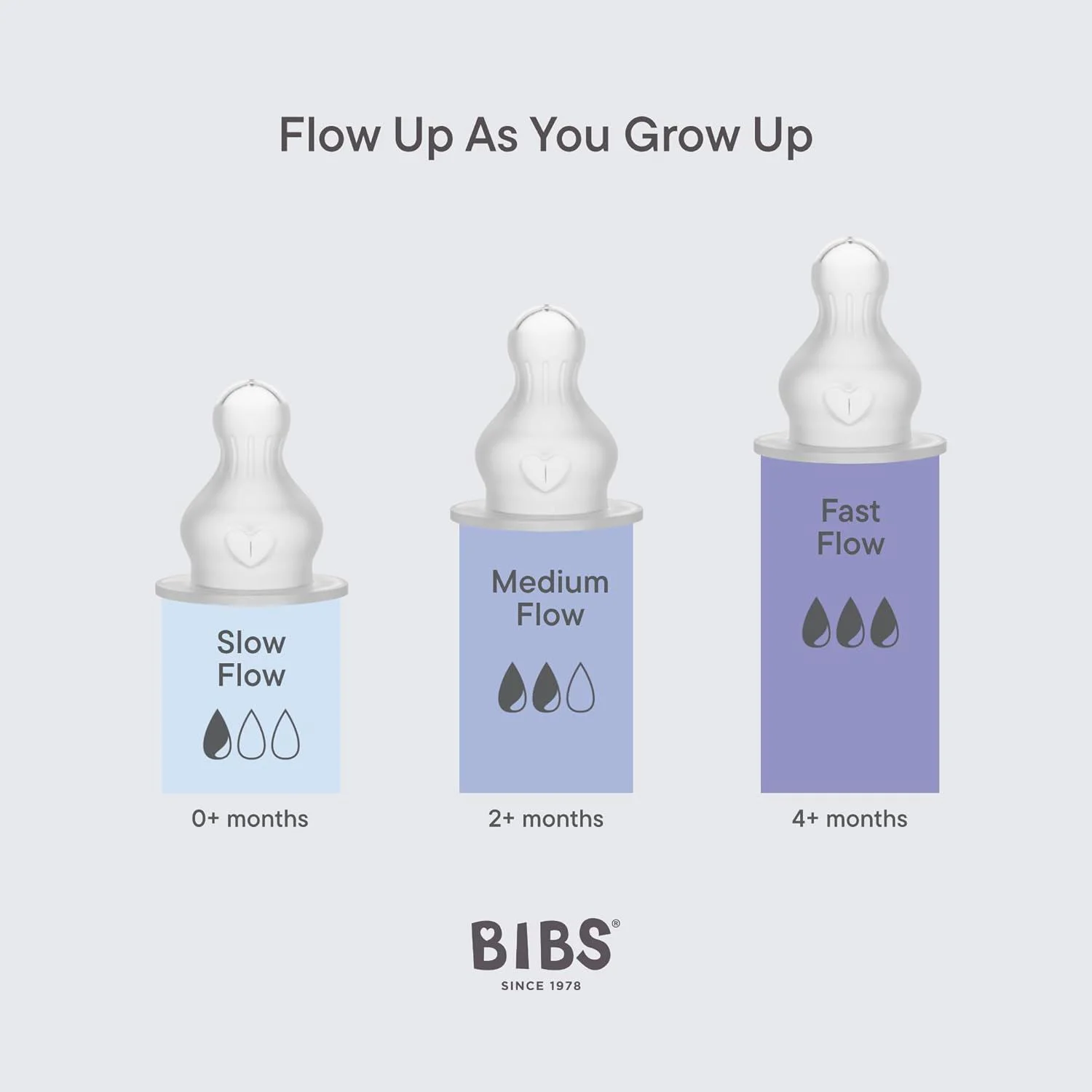Set BIBS Grow & Flow Ivory (2 biberoane cu tetine din silicon - flux incet, mediu si rapid) foto