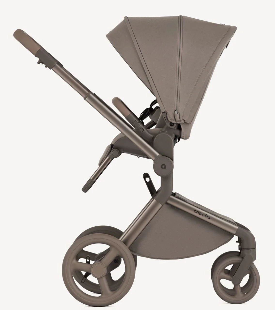 Carucior 2 in 1 Anex Flo Yuki foto