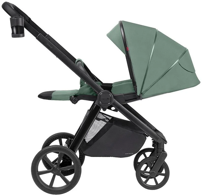 Carucior 2 in 1 Carrello Omega Nova Green foto