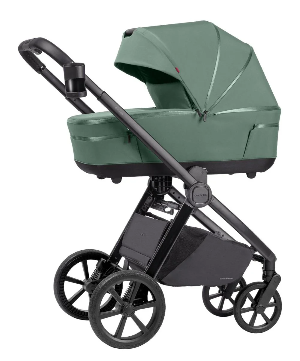 Carucior 2 in 1 Carrello Omega Nova Green foto