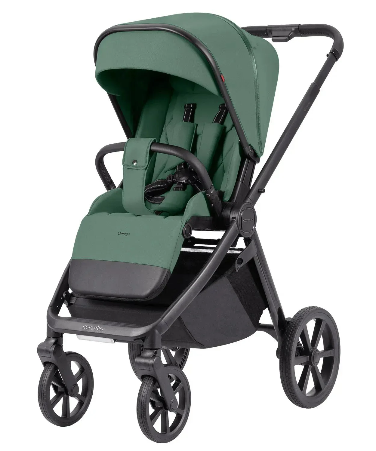 Carucior 2 in 1 Carrello Omega Nova Green foto