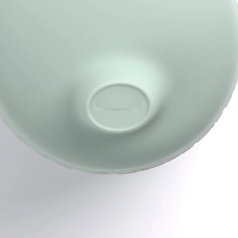 Cana din silicon Jane Pale foto