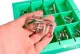Set 10 puzzle-uri Metalice Eureka Green foto