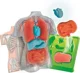 Set de joaca educativ Science&Play Anatomia Omului foto