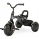 Трёхколёсный велосипед Qplay Ant Plus Dark Grey foto