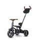Трёхколёсный велосипед Qplay Rito Deluxe Black foto