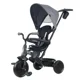 Трёхколёсный велосипед Qplay Elite Platinum Grey foto