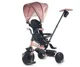 Трёхколёсный велосипед Qplay Elite Platinum Pink foto