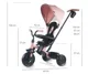 Трёхколёсный велосипед Qplay Elite Platinum Pink foto