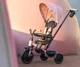 Трёхколёсный велосипед Qplay Elite Platinum Pink foto