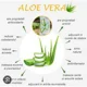 Suc Aloe Vera 100% Pulp & Juice Human Care, 500 ml foto