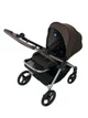 Carucior All in One Anex IQ Premium Teddy foto