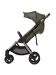 Carucior All in One Anex IQ Premium Richi foto
