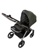 Carucior All in One Anex IQ Premium Richi foto