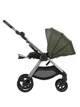 Carucior All in One Anex IQ Premium Richi foto