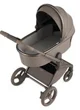 Carucior 2 in 1 Anex Flo Yuki foto