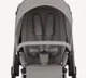 Carucior 2 in 1 Anex Eli Santal foto