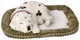 Jucarie interactiva Perfect Petzzz "Dalmatian'' foto