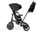 Tricicleta Qplay Comfo Max Black foto