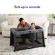 Patut Graco FoldLite Shadow foto