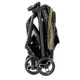 Carucior Graco Myavo Clover foto