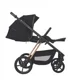 Carucior 2 in 1 Espiro Miloo Diamond Black foto