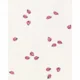 Carter's Комплект бодиков Pink Ladybug Heart foto