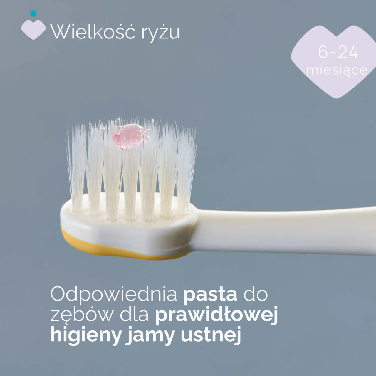 Набор зубных щёток Chicco Liliac Mustard (6–36 мес.), 2 шт. foto
