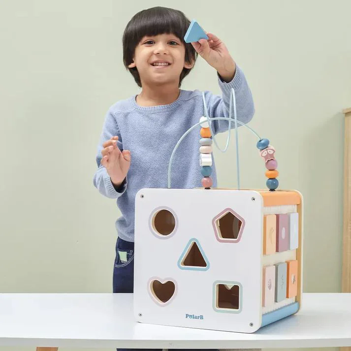 Busy-cub 8 in 1 Viga Toys foto