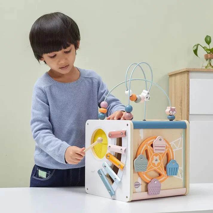 Busy-cub 8 in 1 Viga Toys foto