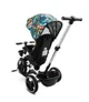 Tricicleta Caretero Dash Melange foto