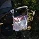 Сумка для коляски Caretero Velvet Flori foto