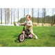 Bicicleta fara pedale Hape Learner Balance Bike Pink foto
