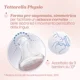 Biberon anti-colici Chicco Perfect Easy Boy, flux mediu (2+ luni), 250 ml foto