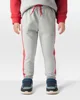 Carter's Pantaloni Terry Joggers Grey Red Side Stripe foto