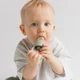 Устройство для кормления (Ниблер) BIBS Sage foto