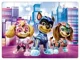 Puzzle Dodo Щенячий патруль: Вместе с друзьями, 24 эл. foto