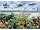 Puzzle Trefl Premium Plus Tea Time, 1000 el. foto