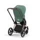 Set textil pentru carucior Cybex Priam Leaf Green foto