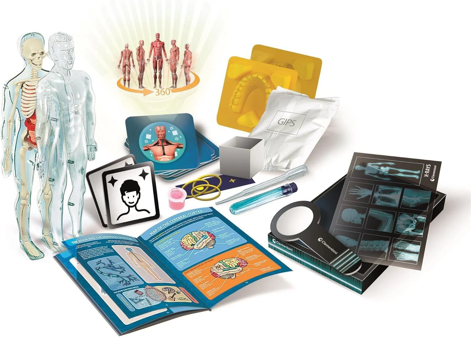 Игровой набор Clementoni Super Anatomy foto