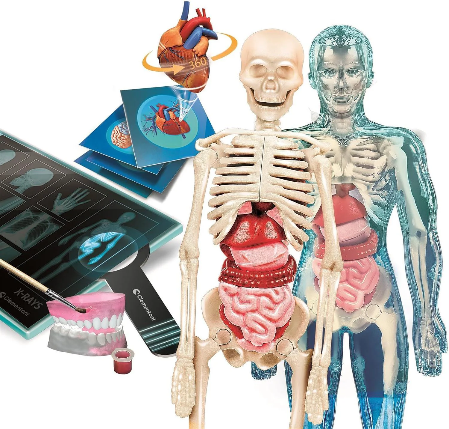 Игровой набор Clementoni Super Anatomy foto